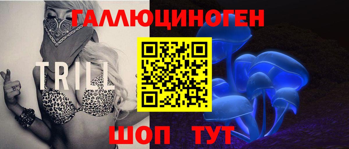 Галлюциногенные грибы Psilocybine cubensis Ишим