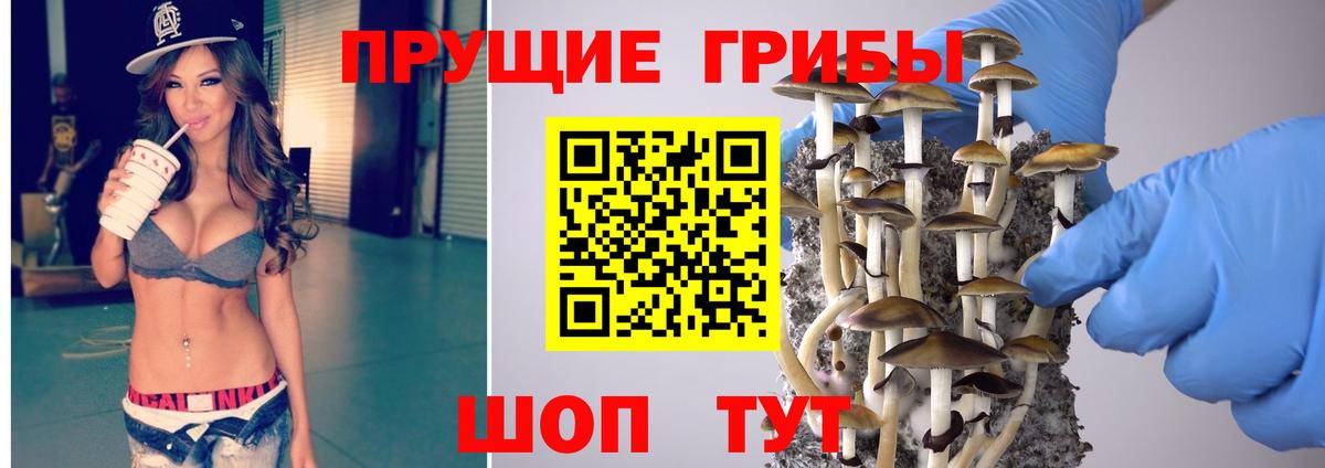 Ишим  Псилоцибиновые грибы MAGIC MUSHROOMS  цена   Вход с VPN 